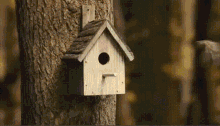 Bird House GIF