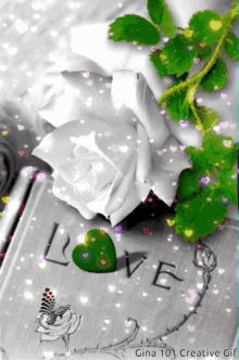 gina101 gina101creative love white rose rose