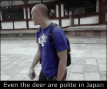Japan Deer GIF - Japan Deer Doe GIFs
