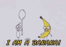 i am a banana banana rejected