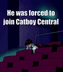 catboy catboy central central shinji nge