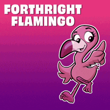 a cartoon flamingo giving a thumbs up with the words forthright flamingo above it