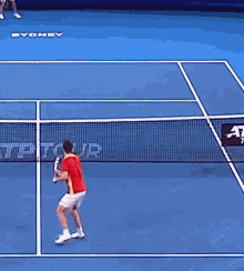 Albert Ramos Vinolas Overhead Smash GIF - Albert Ramos Vinolas Overhead Smash Tennis GIFs