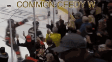 Common Ceedy W Anaheim Ducks GIF