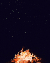 a painting of a fire that looks like a phoenix 's wings