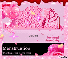 Menstrual Menstruation GIF - Menstrual Menstruation Period GIFs