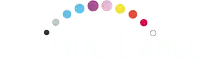 a circle of colorful dots on a white background with a black circle in the middle