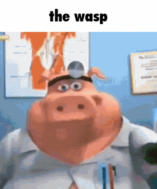 Kaperoo Wasp GIF - Kaperoo Wasp Willothewasp GIFs