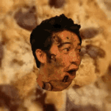 Cookie Pog GIF - Cookie Pog Cookie Pog GIFs