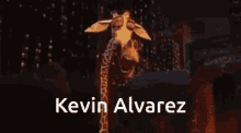 Kevin Alvarez Jirafa Kevin GIF - Kevin Alvarez Jirafa Kevin Martnpeokk GIFs
