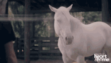 Horse Magic GIF - Horse Magic Mystic GIFs