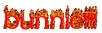 the word burniem is written in red letters