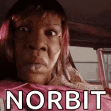 a woman with pink hair is sitting in a car with the word norbit written on her face .