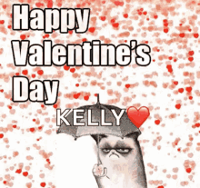 Antisocial Cat GIF - Antisocial Cat Valentines Day GIFs