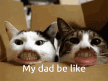 The Resson My Dad Has Retainers GIF - The Resson My Dad Has Retainers GIFs