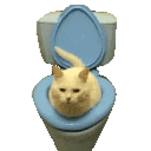 a cat is sitting on a toilet with the lid up
