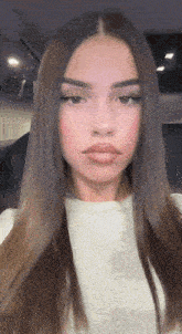 a close up of a woman 's face with long brown hair