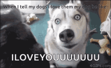 Dogs I Love You GIF - Dogs I Love You Doggos GIFs