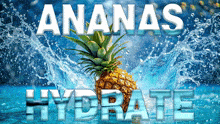 Ananas Pineapple GIF - Ananas Pineapple Hydrate GIFs