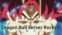 Dragon Ball Server I Love Dragon Ball GIF
