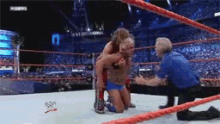 ric flair low blow shawn michaels wrestlemania24 wwe