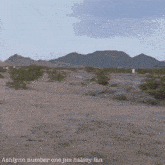 ashlynn number one jim halsey fan is the name of the person in the desert