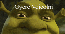 Gyere Voicolni Meme GIF - Gyere Voicolni Meme Magyar GIFs