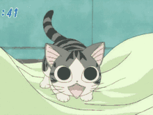 Anime Kitteh GIF - Anime Kitteh GIFs