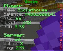 a screenshot of a minecraft game with a purple item in the foreground