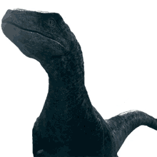 dominion velociraptor