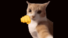 Gatito Catpunch GIF - Gatito Catpunch Cat GIFs
