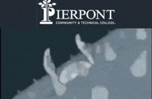 Pierpont GIF - Pierpont GIFs