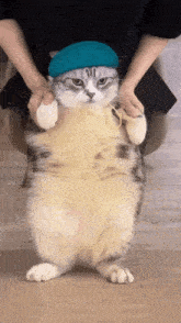 GIF