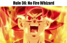 Rule 36 Fire Whizard GIF - Rule 36 Fire Whizard Goku GIFs