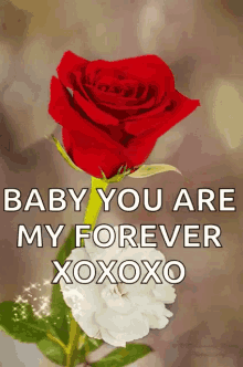 Baby You Are My Forever Heart GIF - Baby You Are My Forever My Forever Heart GIFs