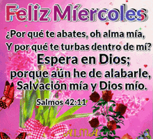 a pink background with flowers and butterflies and the words feliz miercoles on it