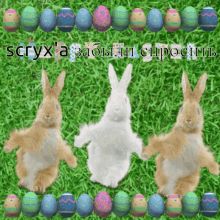 Scryx Bunny GIF - Scryx Bunny Easter GIFs