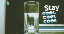 a glass of water with ice and the words stay cool cool cool