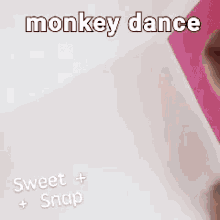 Monkey Dance GIF - Monkey Dance Sweet GIFs