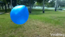 Bop Boop GIF - Bop Boop Balloon GIFs
