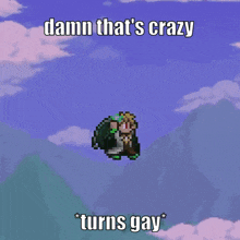 Damn Thats Crazy Turns Gay GIF - Damn Thats Crazy Turns Gay Terraria GIFs