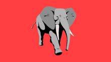 Slow Walk GIF - Slow Walk Elephant GIFs