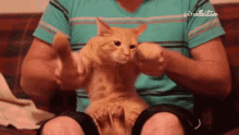 Dancing The Pet Collective GIF - Dancing The Pet Collective Grooving GIFs