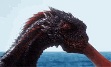 dragon wyvern game of thrones go t head scratches