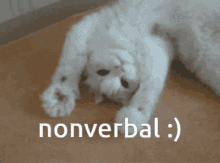 Nonverbal GIF - Nonverbal GIFs