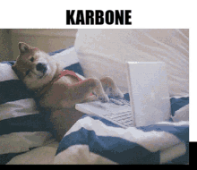 Karbone Geek GIF - Karbone Geek Dog GIFs