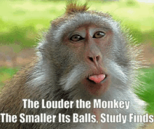 Monkeyballs GIF