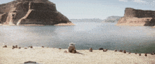 a person sitting on a sandy beach looking at a lake
