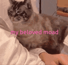 Moad My Beloved Moad GIF - Moad My Beloved Moad GIFs