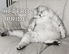 a fat cat is laying on a couch with hetero pride written on the bottom